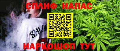 прущие грибы Пугачёв