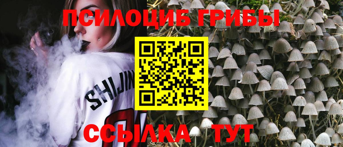 Галлюциногенные грибы прущие грибы  Галлюциногенные грибы Psilocybe  Вход с VPN  Похвистнево 
